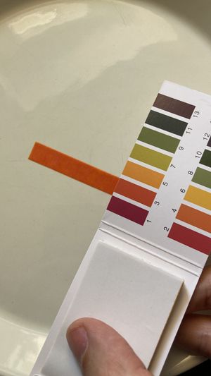 Litmus paper test